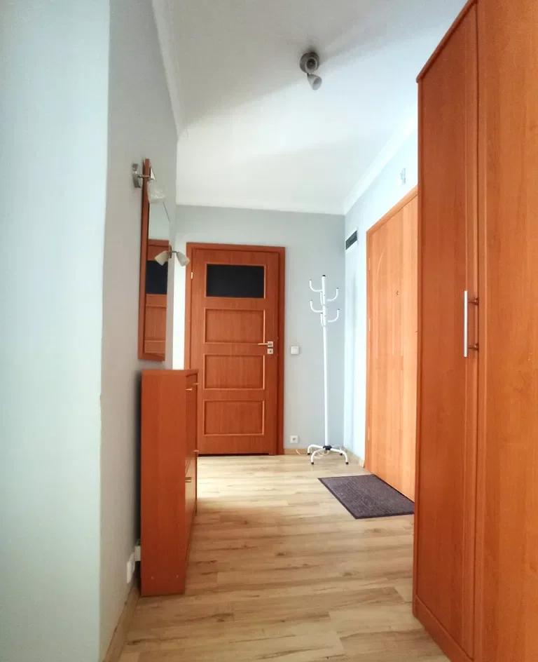 3 pokoje | Poznań | 45 m2 | od lipca - zdjęcie 7