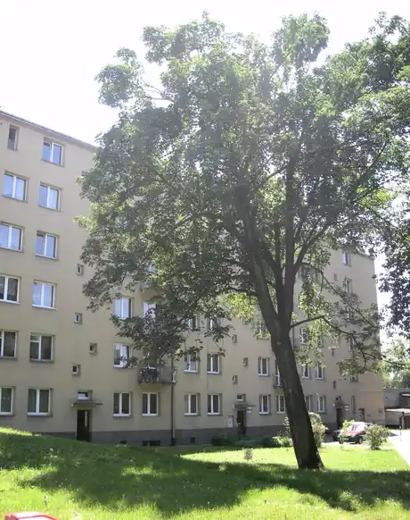 Do wynajęcia przyjazna 35-m2 kawalerka w ścisłym Centrum Gliwic - zdjęcie 6