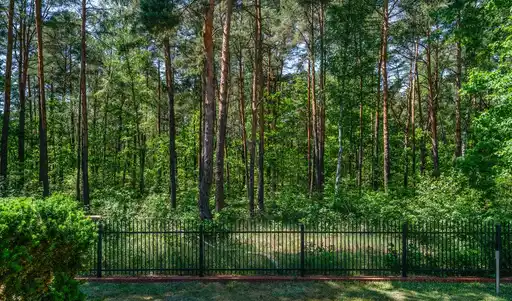 Dom graniczący z Mazowieckim Parkiem - zdjęcie 2