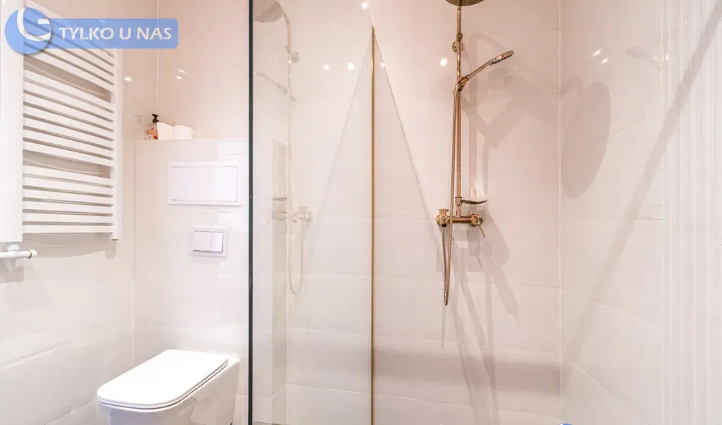 Klimatyzowane studio przy plantach 39 m2 - zdjęcie 10