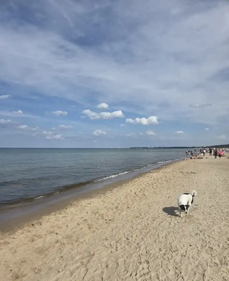 Pokój jednoosobowy w mieszkaniu w bloku w Gdańsku - zdjęcie 9
