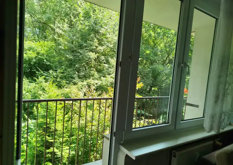 Mieszkanie na wynajem w Centrum przy Parku Róż - zdjęcie 10