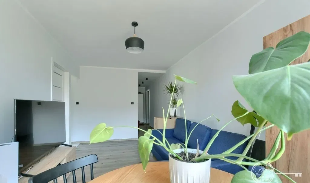 3 pokoje, wolne od sierpnia w Toruniu - zdjęcie 5