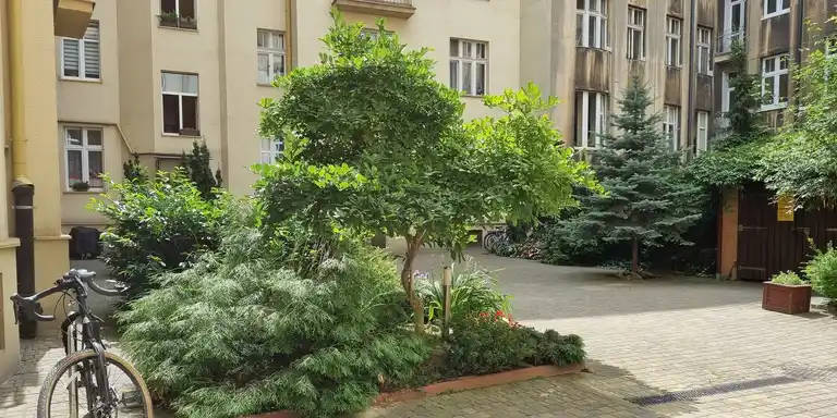 Przytulne mieszkanie w ścisłym centrum, media miejskie - zdjęcie 6