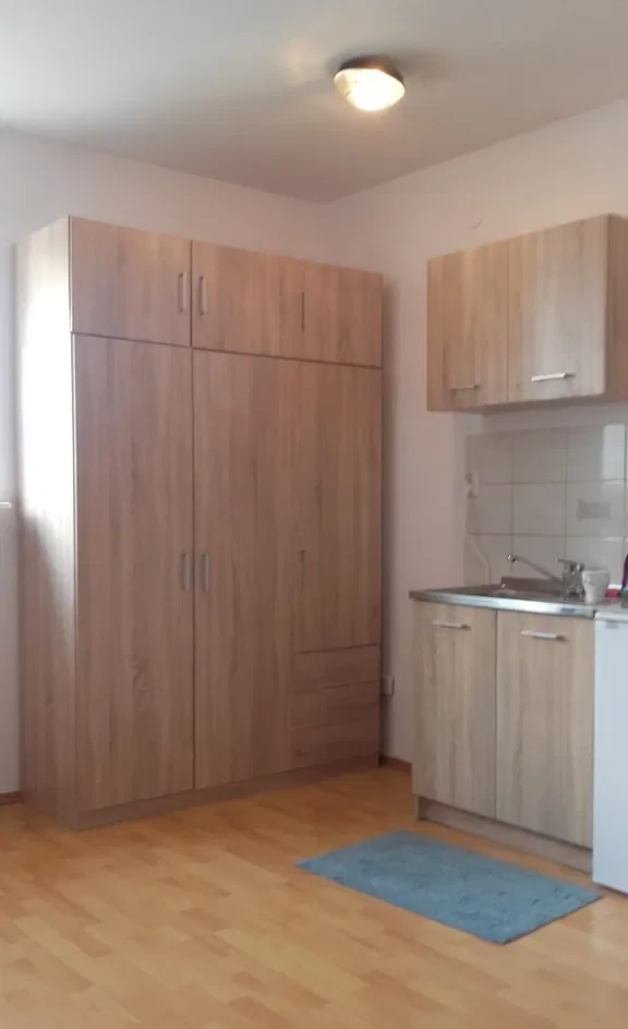 Mieszkanie 1-pokojowe z windą w Krakowie - zdjęcie 3