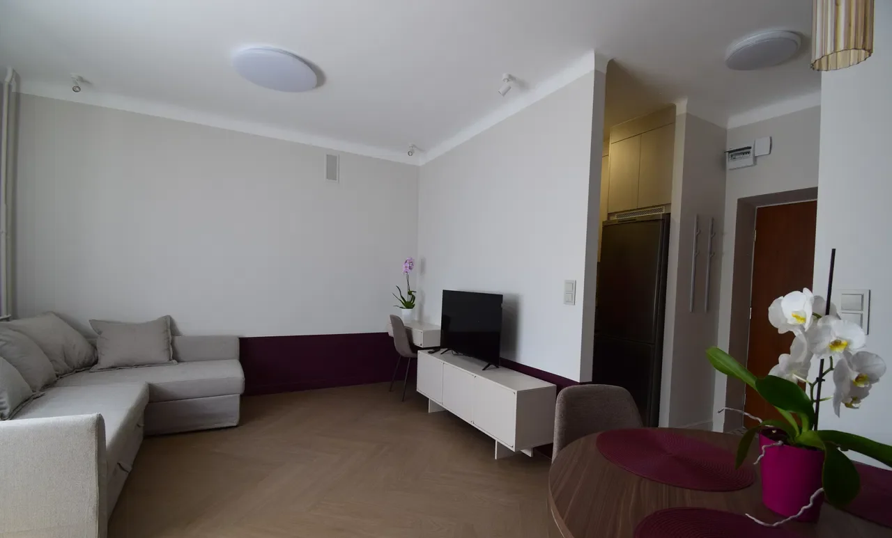Komfortowa, świeżo wyremontowana kawalerka w centrum – 25 m² - zdjęcie 5