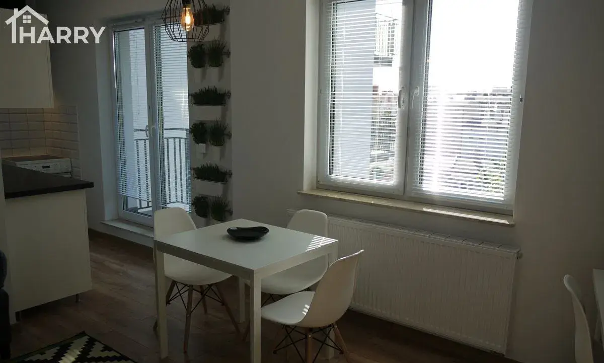 Obszerna kawalerka w centrum. - zdjęcie 5