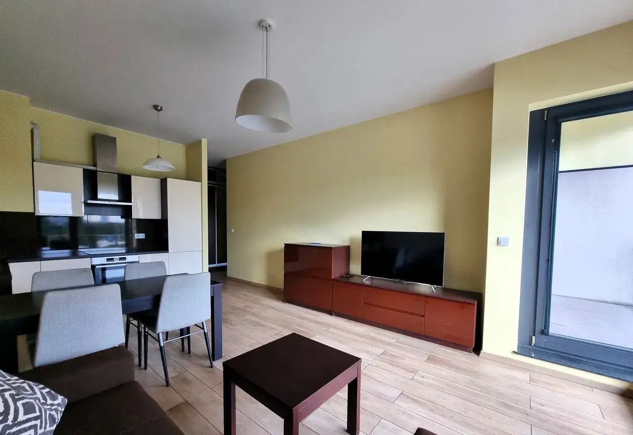 WYSPIAŃSKIEGO, 54m2, 2 pokoje, duży balkon, widok na rzekę, od 01.07 - zdjęcie 3