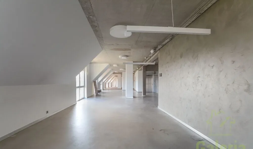 Loft 308 m² z widokiem na Odrę - zdjęcie 9
