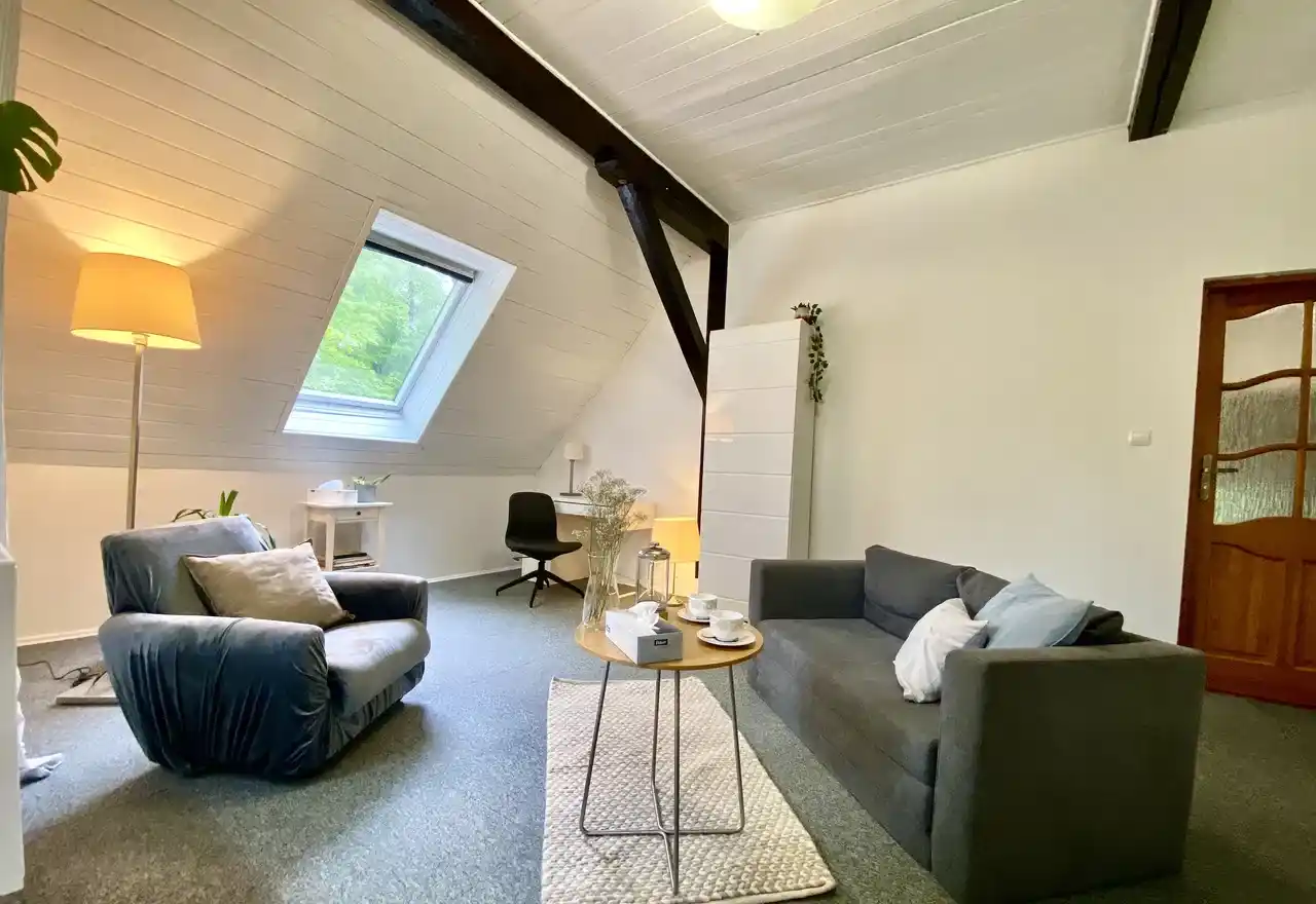 Budynek wolnostojący 540 m2 z garażem i dużym ogrodem przy lesie - zdjęcie 6