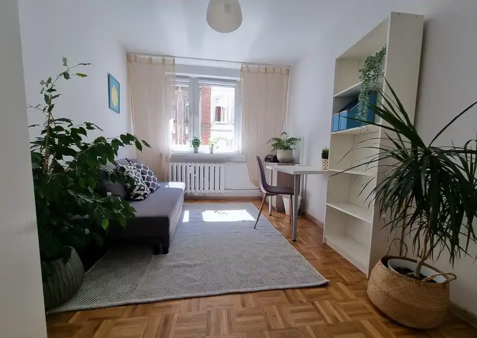 Pokój jednoosobowy na Starym Mieście we Wrocławiu