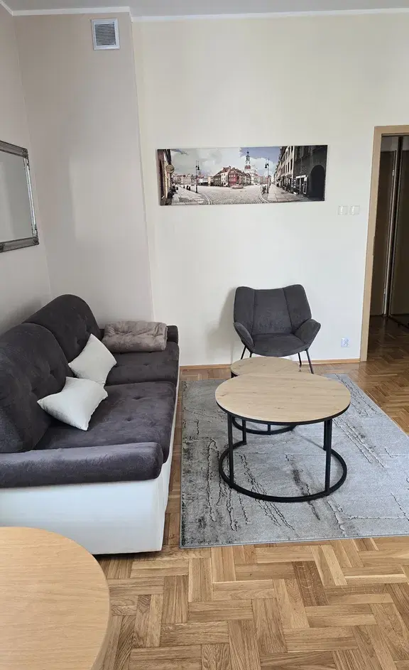 centrum Poznania kawalerka komfortowa - zdjęcie 9