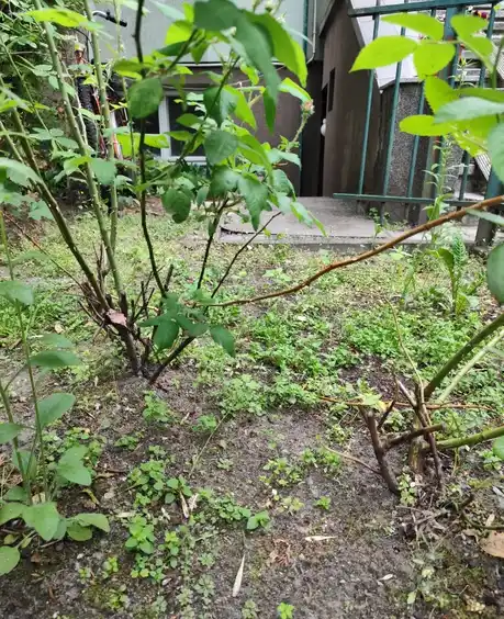 Pokój na wynajem - zdjęcie 5