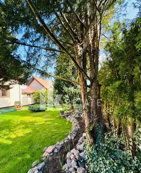 Przestronny dom 240 m2 z dużym ogrodem | Bezrzecze - zdjęcie 9