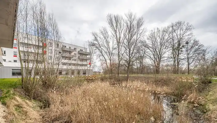 58 m2 z dużym balkonem w zielonej okolicy, parking - zdjęcie 7