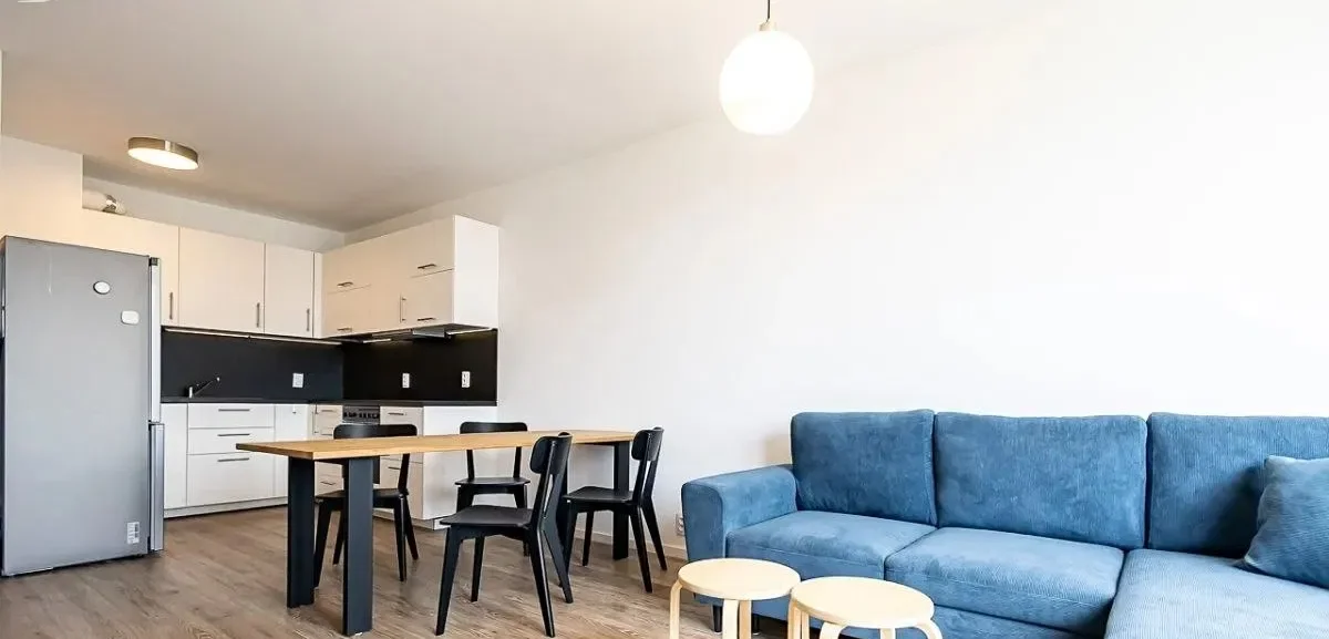 Mieszkanie 1-pokojowe w Śródmieściu, 38m² - zdjęcie 2