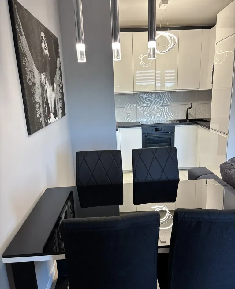 Stylowy Apartament na Wynajem – 2 Pokoje + 2 Miejsca Garażowe w Cenie! - zdjęcie 4