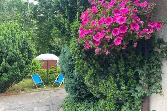 Hostel Warszawa Bemowo - 750 zł/miesiąc - zdjęcie 8