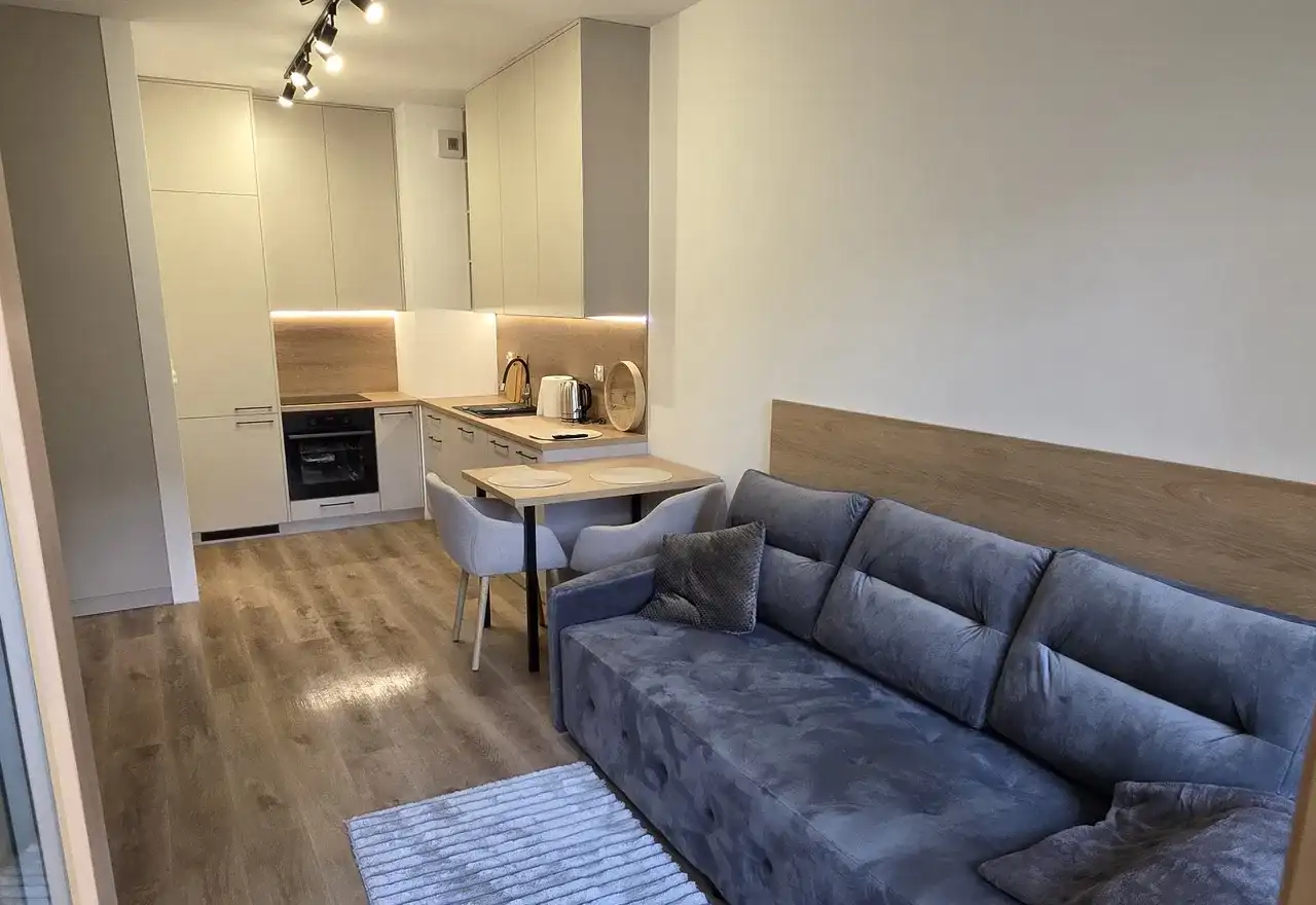 Stylowe mieszkanie na wynajem z balkonem - zdjęcie 6