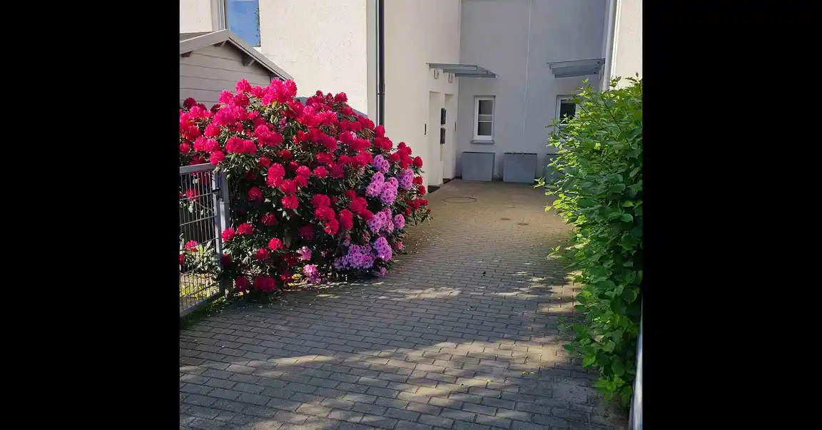 Wyjątkowe i kameralne mieszkanie z ogrodem 200m2, WPN! - zdjęcie 8