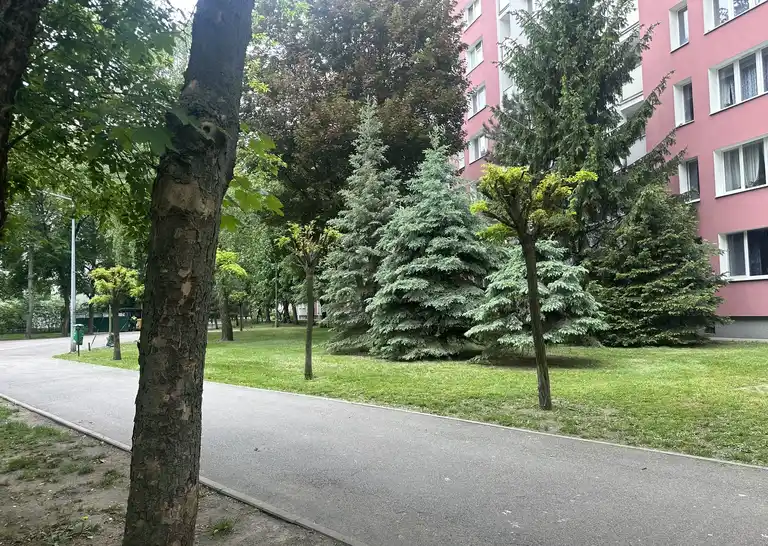 Mieszkanie po generalnym remoncie na wynajem , Praga-Południe - zdjęcie 8