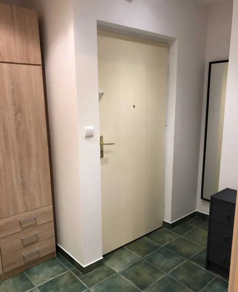 Do wynajęcia 1-pokojowe mieszkanie na Ruczaju - zdjęcie 5