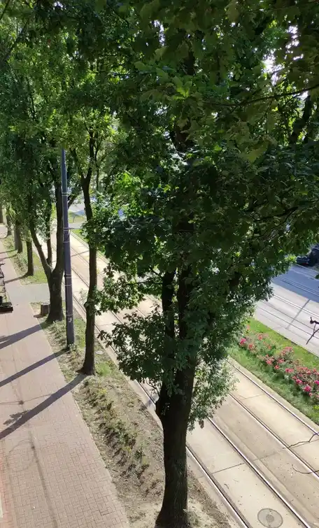 Piękny pokój dla studentki/ta - zdjęcie 4
