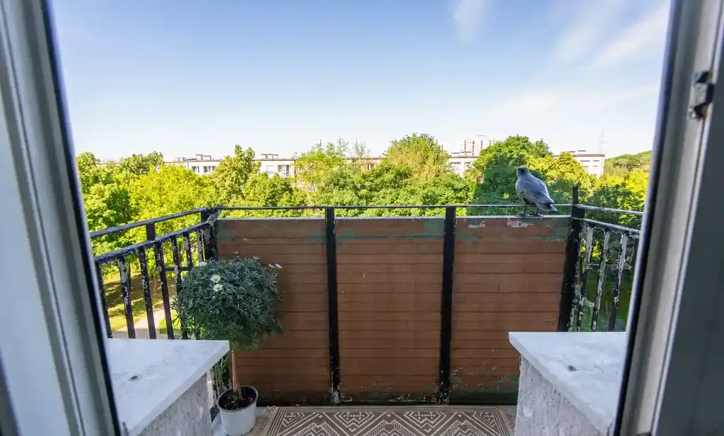 2 pokoje, mieszkanie na wynajem - Poznań, Stare Miasto, Winogrady - 68056030 • www.otodom.pl - zdjęcie 10