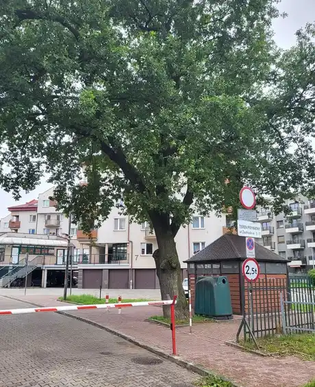 2 pokoje z osobną kuchnią (45 m2), balkon | Kraków - zdjęcie 10