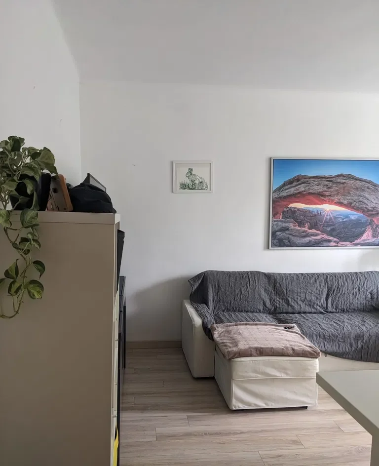 Wynajem mieszkania na Saskiej Kępie - zdjęcie 7