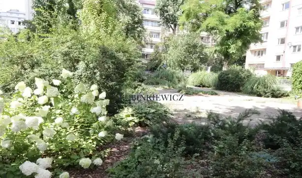 2 pokoje, mieszkanie na wynajem - ul. Koniuchy, Toruń - zdjęcie 7