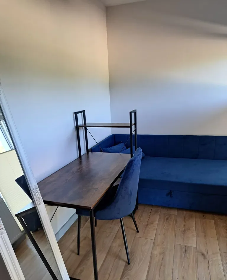 Pokój do wynajęcia obok Wydz. Nauk Geograf. UAM - zdjęcie 2