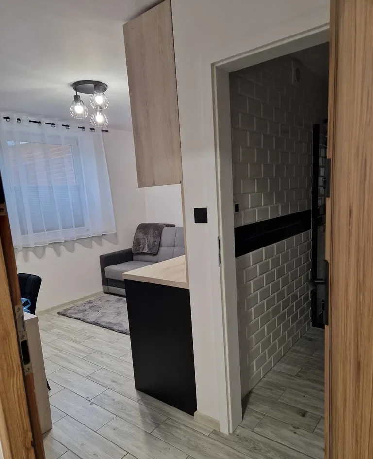 Studio do wynajęcia