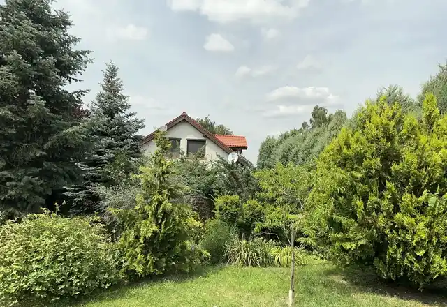 Dom w Kiełczewku blisko Koła - zdjęcie 10