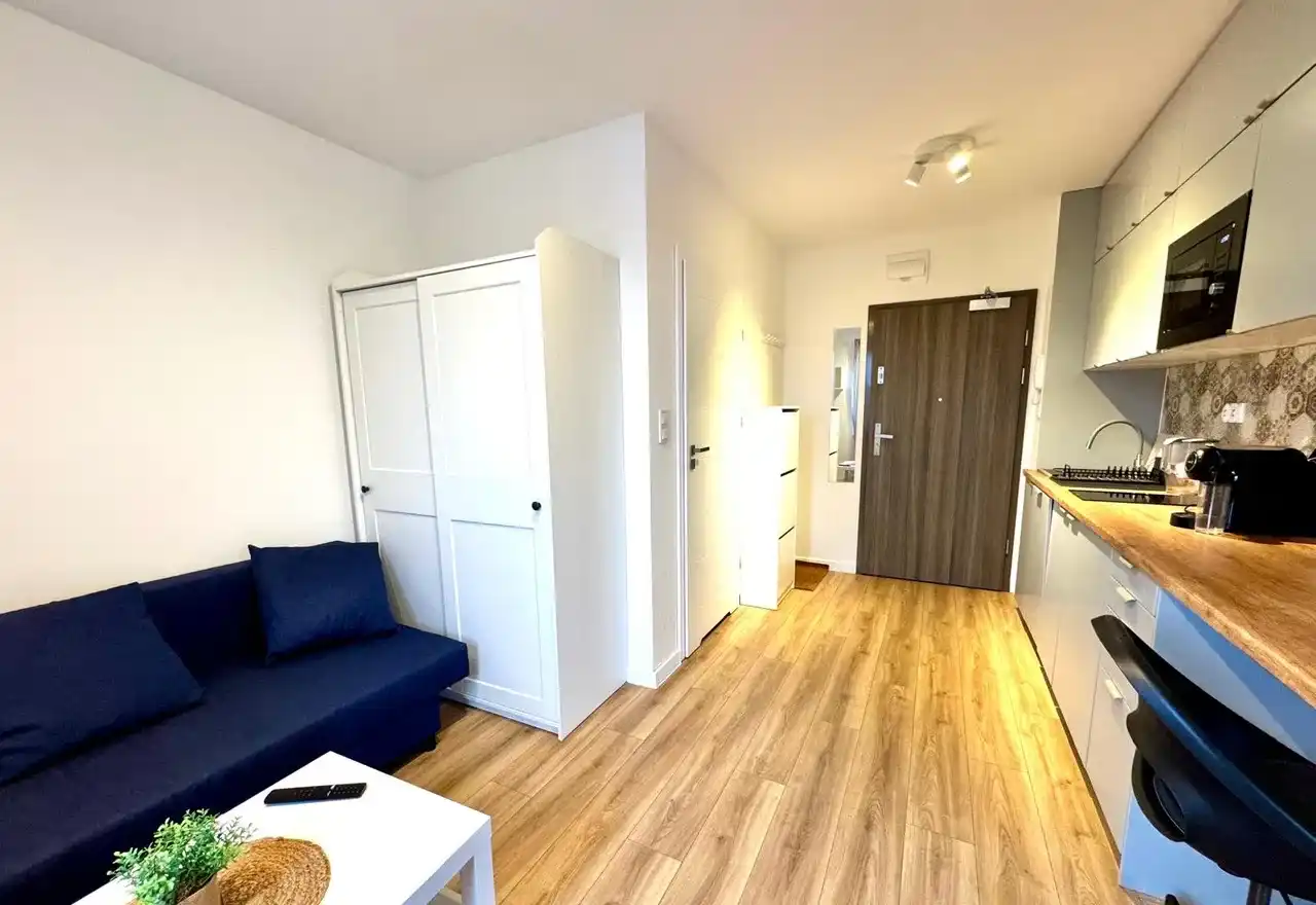 Nowoczesna kawalerka z dużym tarasem Gliwice, ul. Pszczyńska - zdjęcie 5