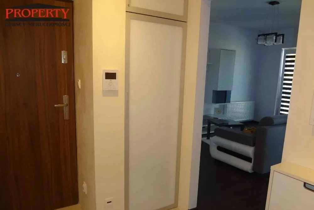 Apartament - Salon Z Aneksem Sypialnym, Kuchnia - zdjęcie 8