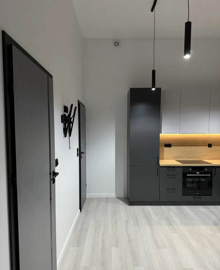 Wynajme przestronną kawalerke w centrum Łodzi - zdjęcie 4