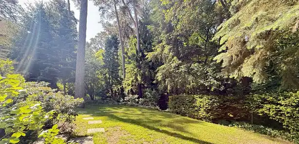 Do wynajęcia dom wolnostojący na Głębokim - zdjęcie 4