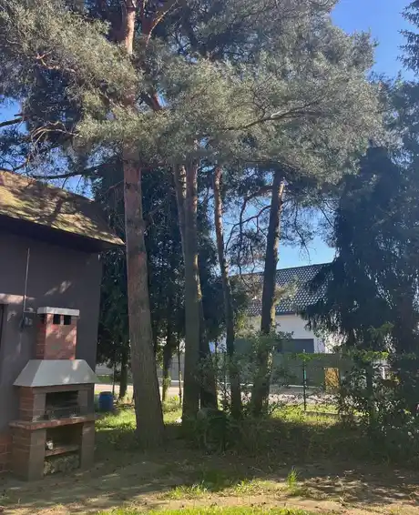 Przestronny ,zadbany dom z pięknym dużym ogrodem. - zdjęcie 3