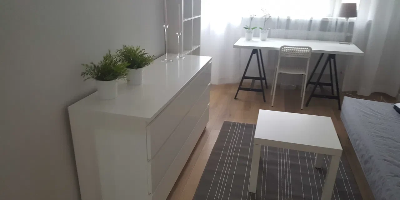Jasny duży pokój dla jednej osoby. - zdjęcie 5