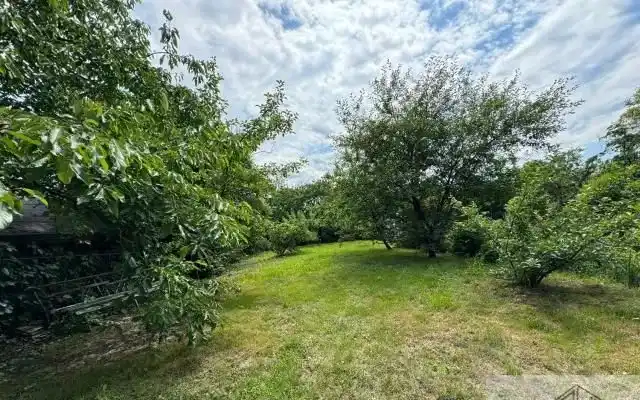 Jagodno - Dom - 5 Pokoi - Ogród - Taras / Krzyki - zdjęcie 5