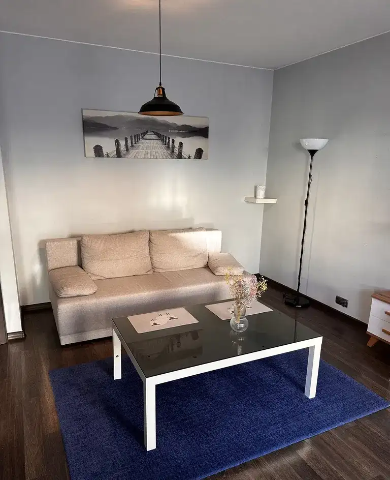 Kawalerka duża 31m2, bezczynszowa, CENTRUM - zdjęcie 3