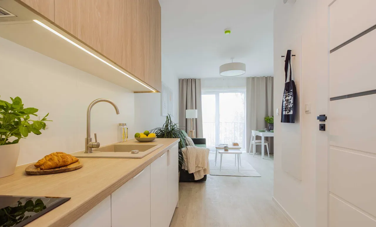 Nowe studio 22 m, bezpośrednio, pet friendly - zdjęcie 5