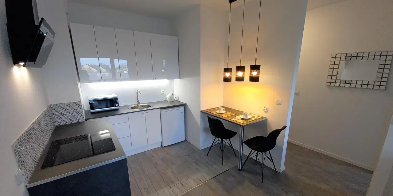 Apartament w Parku nad Kanałem - zdjęcie 4