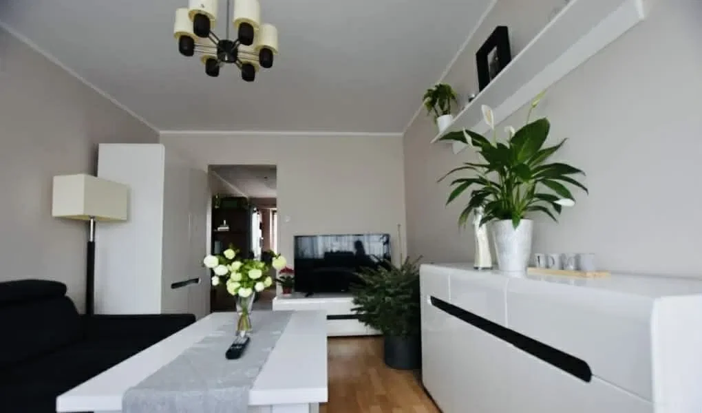 Mieszkanie 48m, 3 pokoje, II piętro. Czynsz 1500 zł - zdjęcie 5