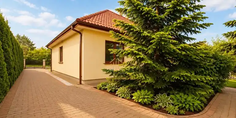 Przestronny Dom Na Wynajem W Trzcińcu - zdjęcie 3