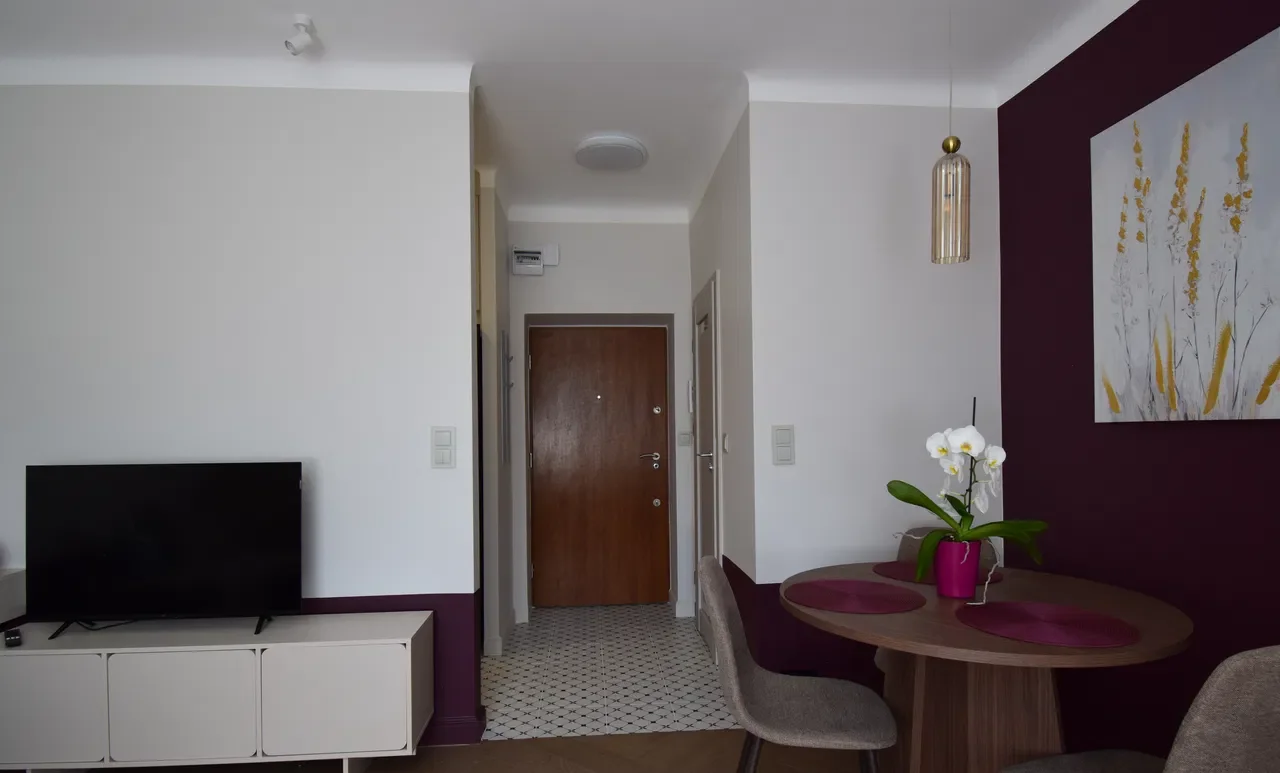 Komfortowa, świeżo wyremontowana kawalerka w centrum – 25 m² - zdjęcie 6