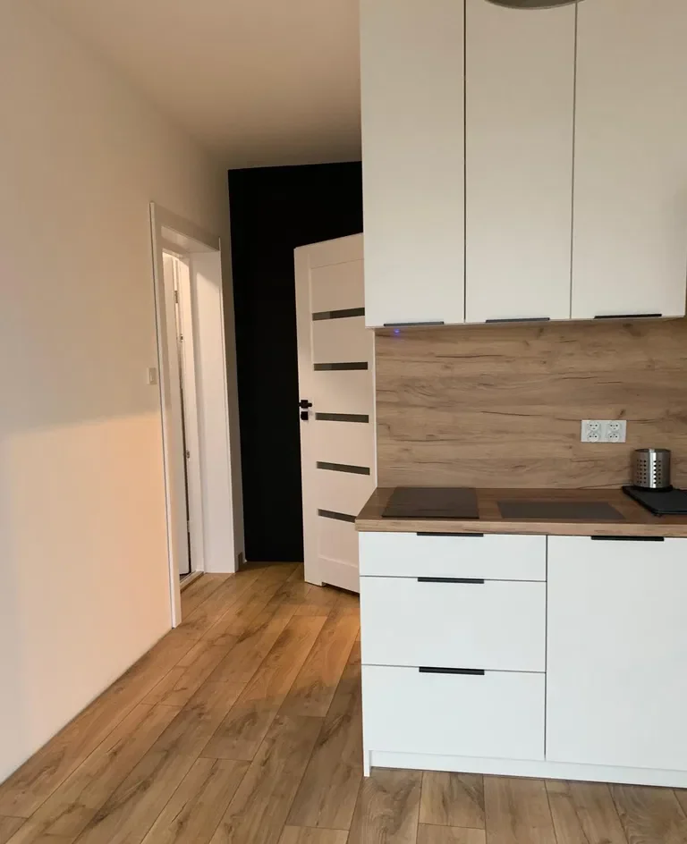 Mieszkanie Poznań Nowe Miasto Czesława Niemena - zdjęcie 5