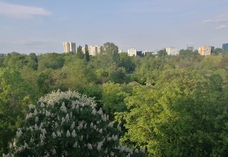 Saska Kępa 38 m bezpośrednio - zdjęcie 5