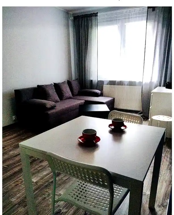 ul. 23 Marca, Sopot, Przylesie| M2|Zwierzęta OK|Dobra komunikacja - zdjęcie 2